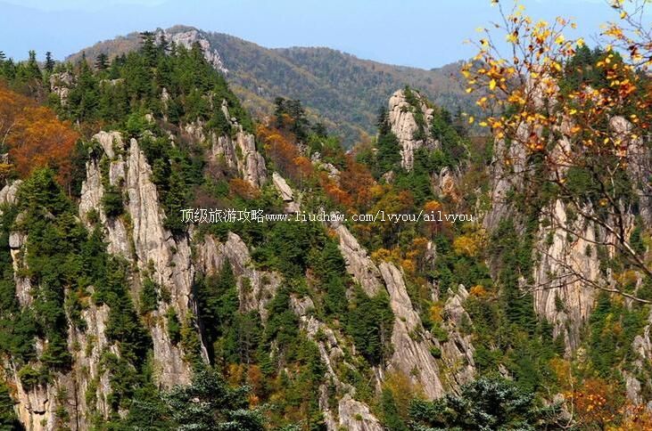 4A��������ͨ��ӹ���ɭ�ֹ�԰���ι���