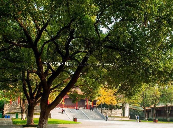 3A南京市博物馆旅游攻略