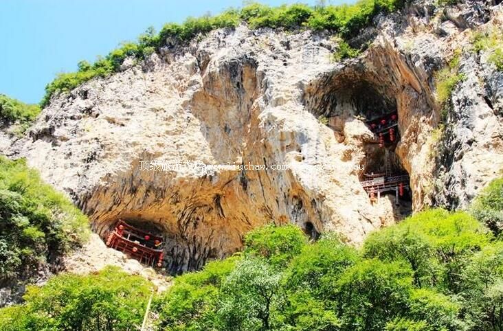 4A����¤�����Ŷ�ɭ�ֹ�԰���ι���