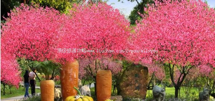 4A���Ƹ��һ����������ι���