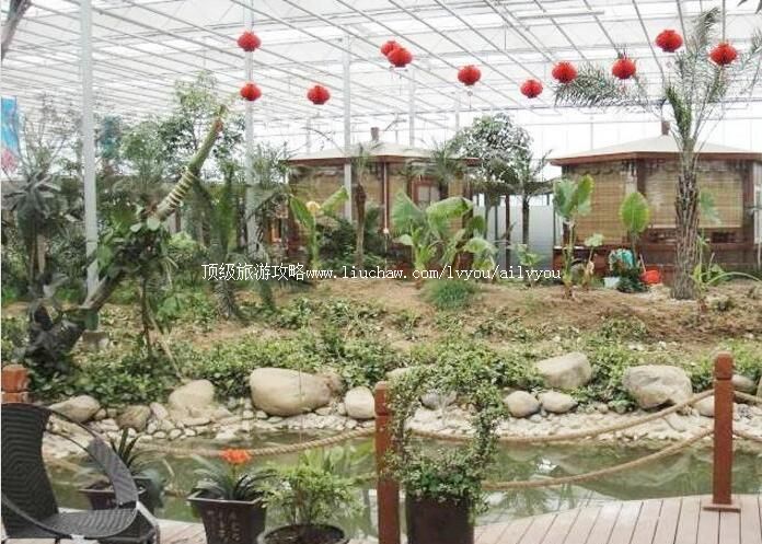 3A连云港景致湖西生态园旅游攻略