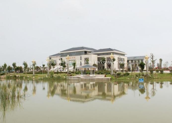 3A���Ʋ�������ι���