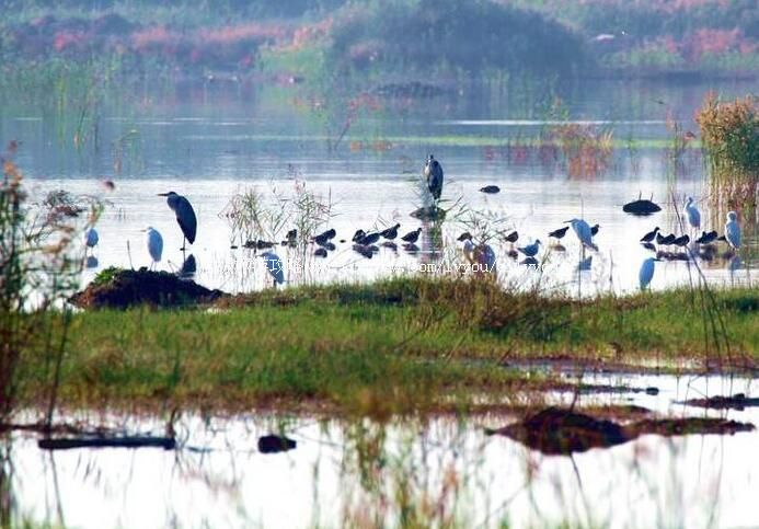 3A���ܺͰ���ʪ�ع�԰���ι���