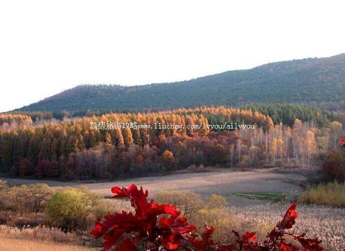 3A����������ɭ�ֹ�԰���ι���