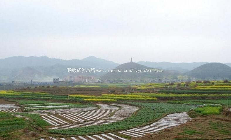 ������֦��᷹������ι���