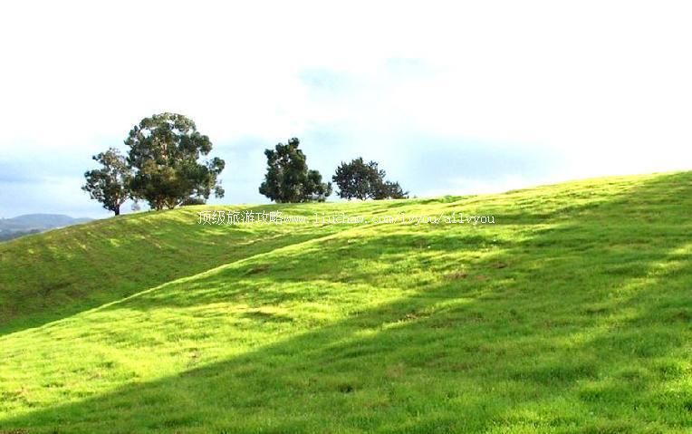 �����������ϲ�ԭ���ι���