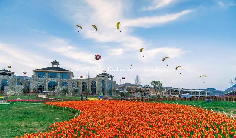 3A��������ˮ��ӱ������������ι���