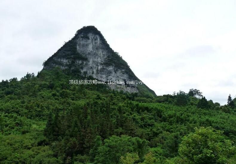 ������ï����˹��ɭ�����ι���