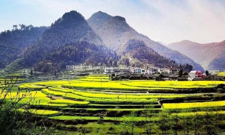 3A���ݹ󶨽�ѩɽ���ι���