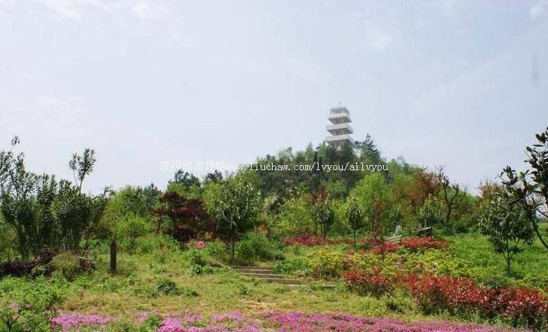 3A������������ɽɭ�ֹ�԰���ι���