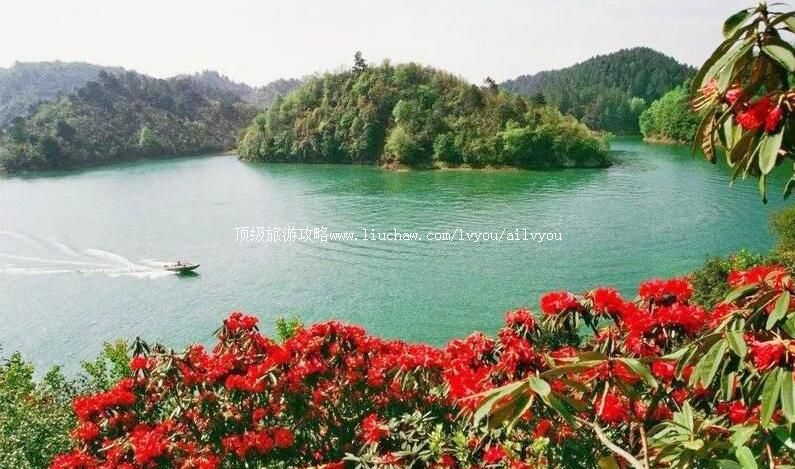 3A���ݳ�˳�ž�����ι���