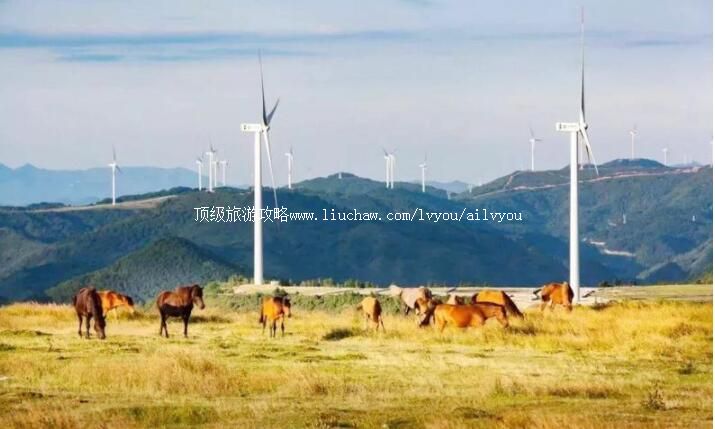 4A���������ͻ����ԭ���ι���