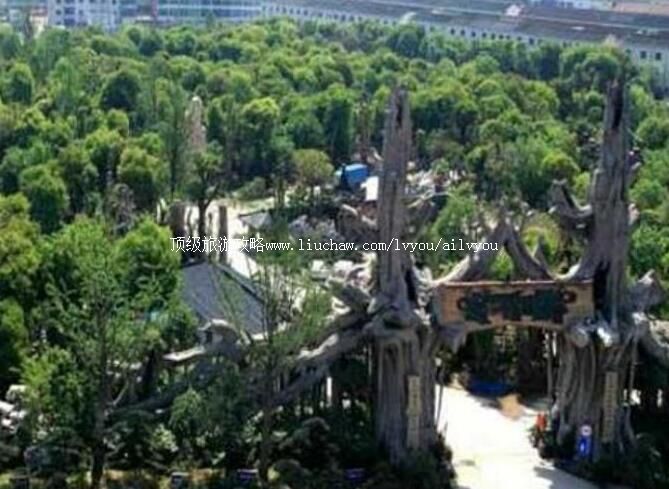 3A武进艺林园旅游攻略