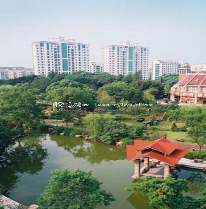 1A���ݶ�ͯ�����������ι���