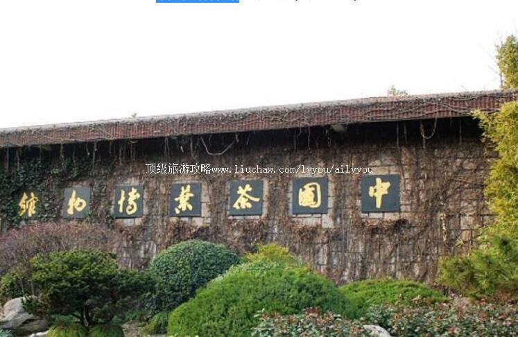 �й���Ҷ��������ι���