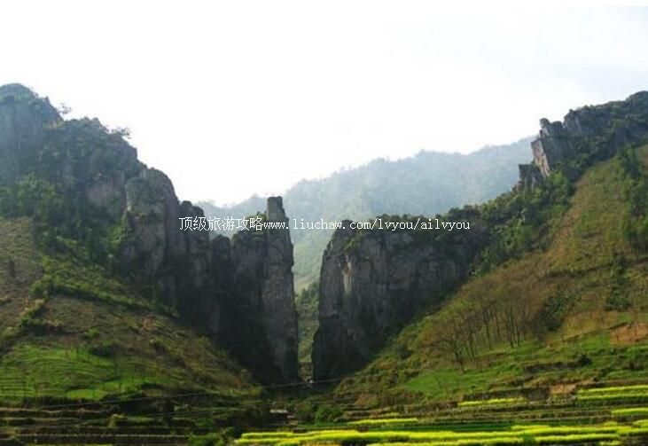 �㽭��������Ҽ���Ȼ���������ι���