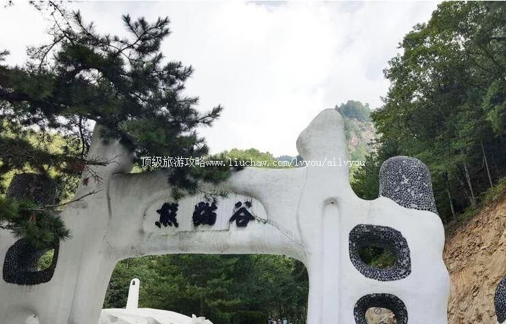 4A������ƺ��è����Ȼ���������ι���