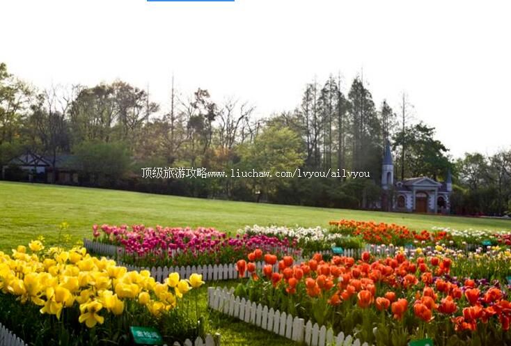 杭州太子湾公园旅游攻略