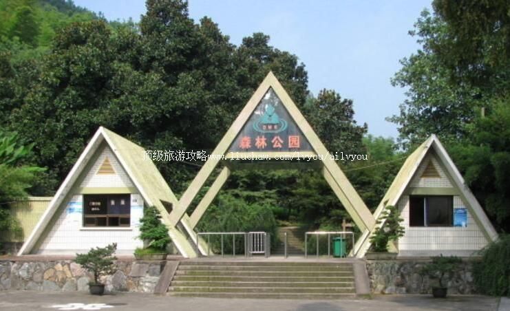 杭州东明山森林公园旅游攻略