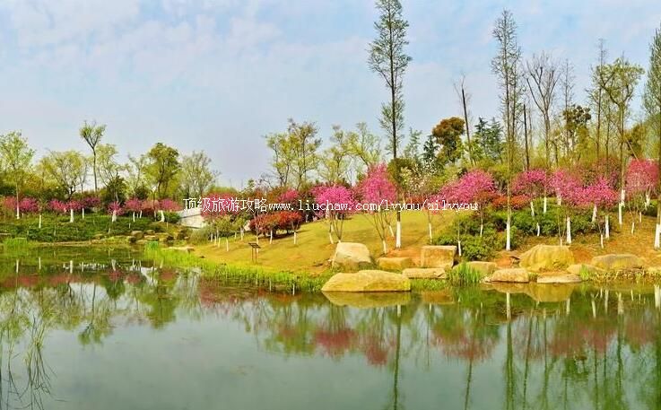 4A���ݸ�ͤɽ�������ι���