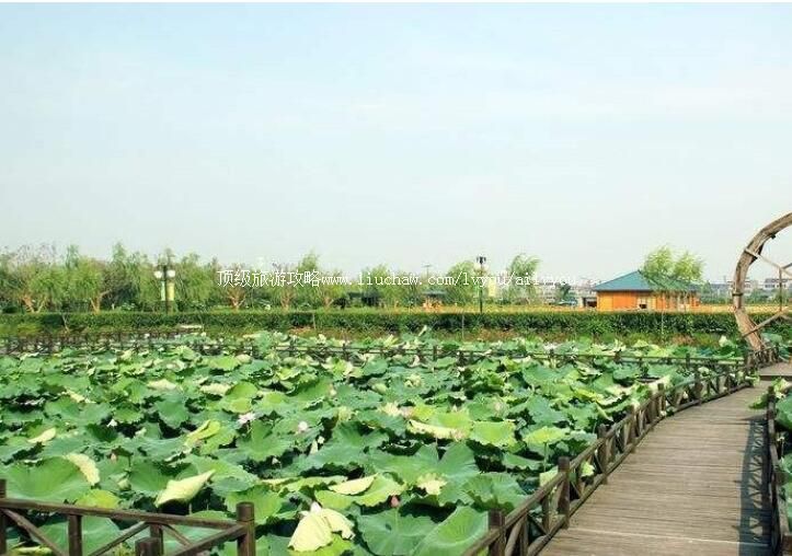 3A杭州琵琶湾生态园旅游攻略