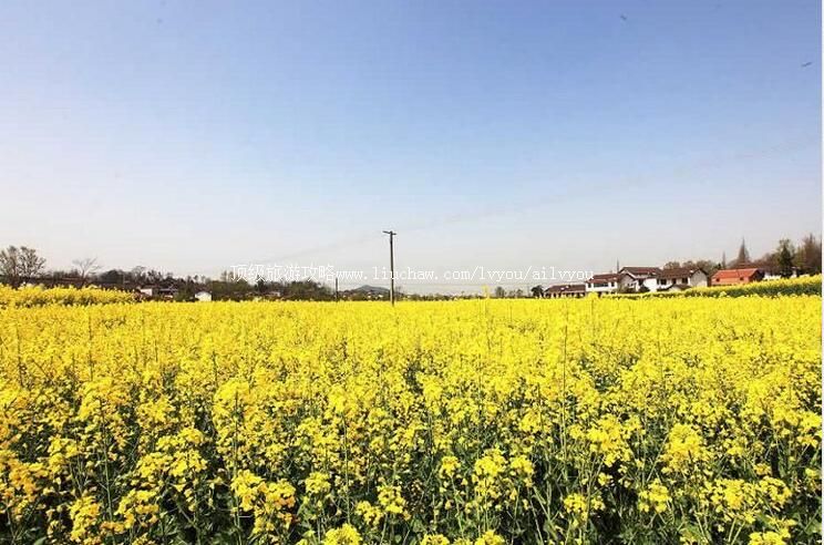 ���������Ͳ˻����ι���