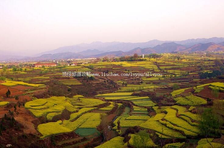 �����������q���Ҽ���Ȼ���������ι���