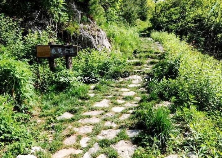 3A陕西柞水终南山秦楚古道旅游攻略