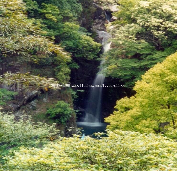 4A��������̶���ι���