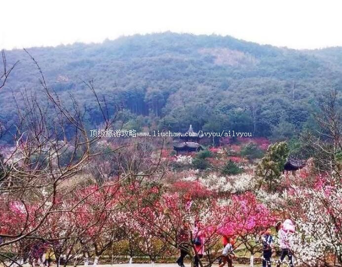 4A宁波北仑九峰山风景区旅游攻略