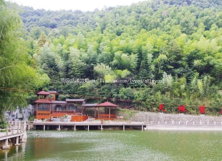 3A��ɽ����̶ɭ�ֹ�԰���ι���