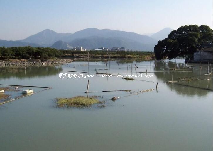 ��������ʪ�����ι���