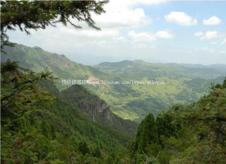 ��������ɭ�ֹ�԰���ι���