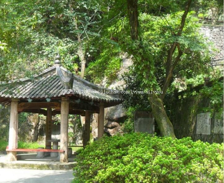 �������徰��ͤ��԰���ι���