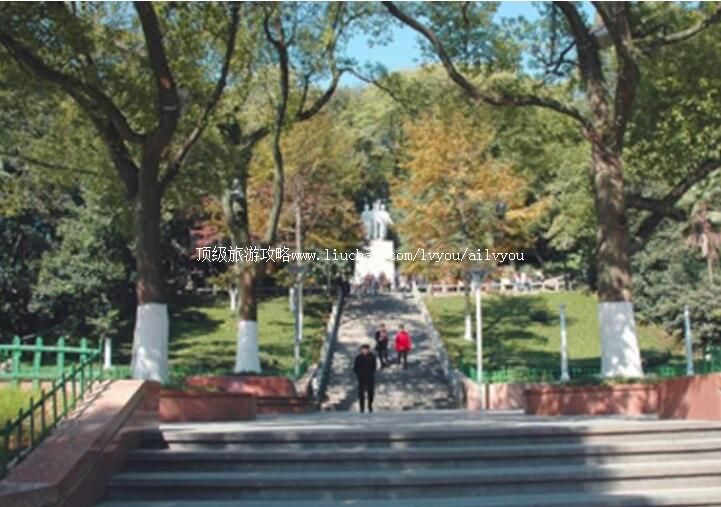 ���ݻ��Ǻ�̳��԰���ι���