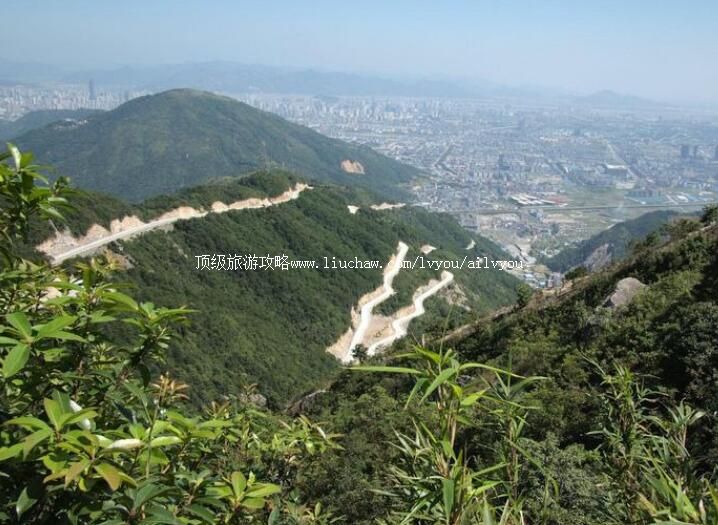 ���ݴ�̨ɽɭ�ֹ�԰���ι���