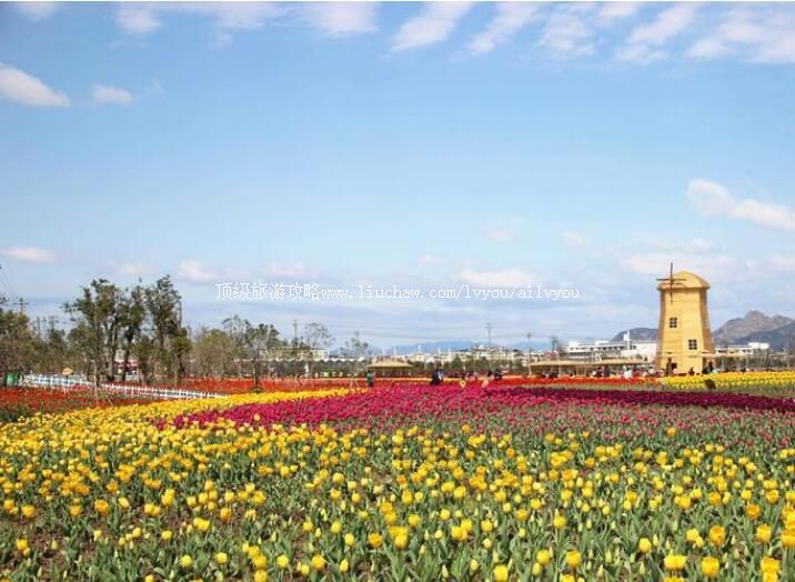 ���������ִ�ũҵ԰���ι���