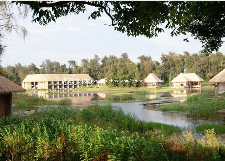 �����Ŵ���̬԰���ι���