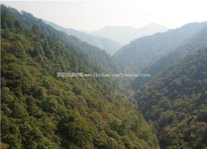 4A浙江泰顺乌岩岭旅游攻略