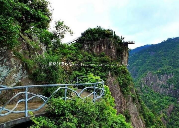 4A������������̶����ɭ�ֹ�԰���ι���