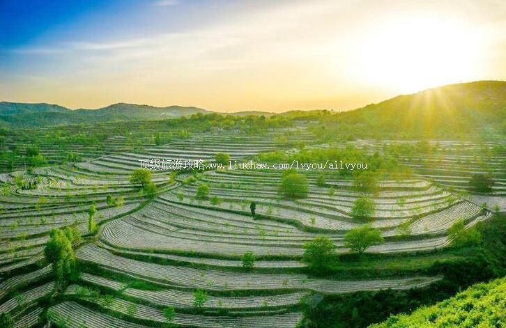 3A�����˾������������ι���