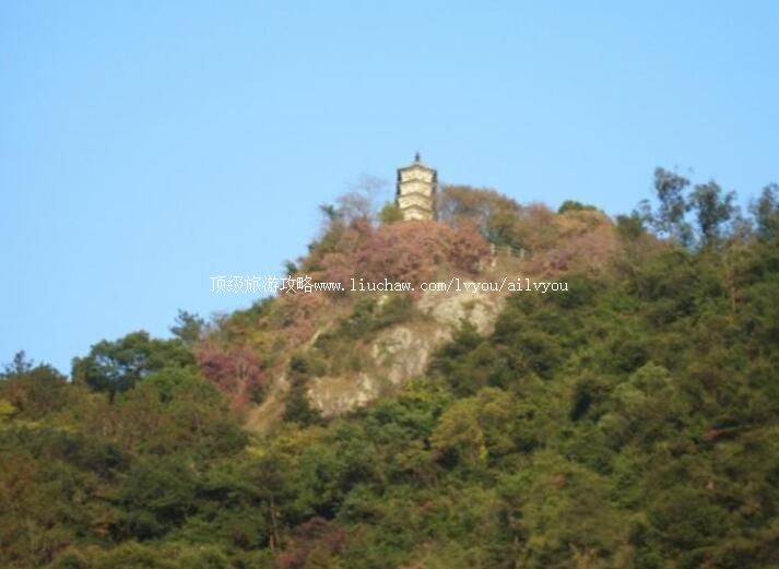 2A���嶫����԰���ι���