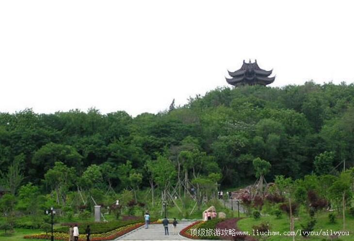 2A������ɽ��԰���ι���