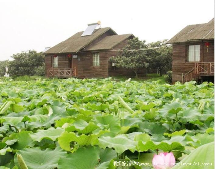 3A�����������ũׯ���ι���