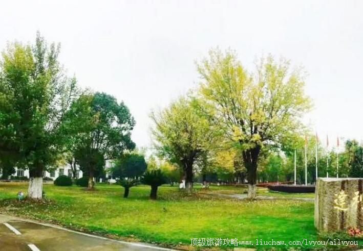 4A新昌达利·丝绸世界旅游攻略