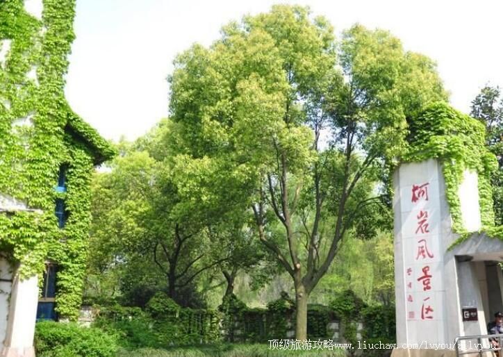 4A���˿������ι���