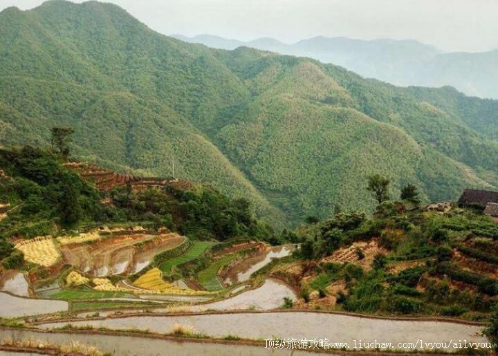 3A����ʮ�˶����羰���������ι���