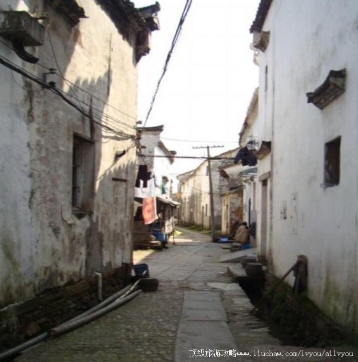 �㽭֥�߹Ŵ������ι���