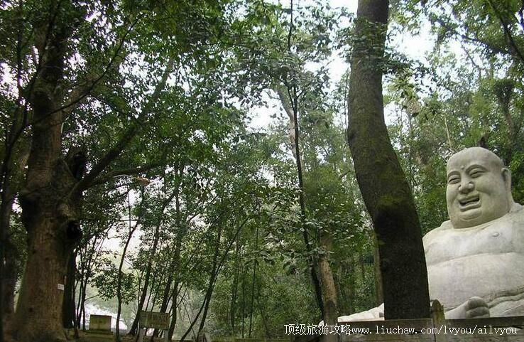 �𻪴�������ι���