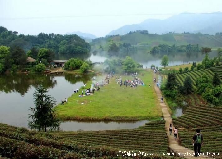 2A��ʯ�������ι���